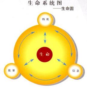 電解水對(duì)人體的好處(圖1)